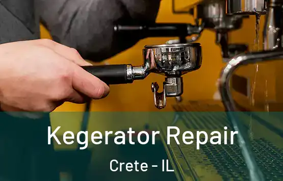  Kegerator Repair Crete - IL