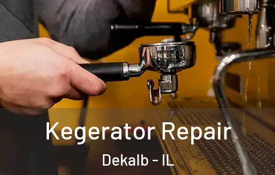  Kegerator Repair Dekalb - IL