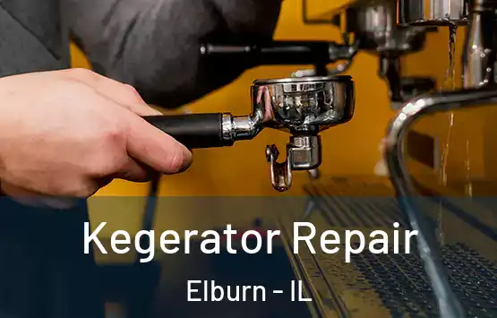  Kegerator Repair Elburn - IL