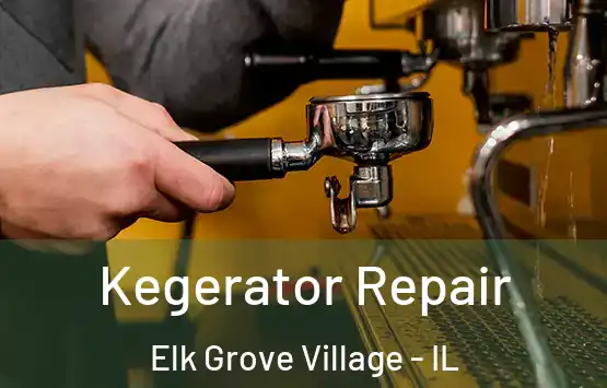 Kegerator Repair Elk Grove Village - IL