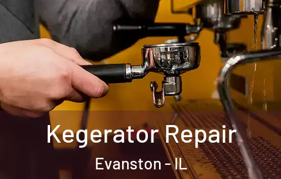  Kegerator Repair Evanston - IL