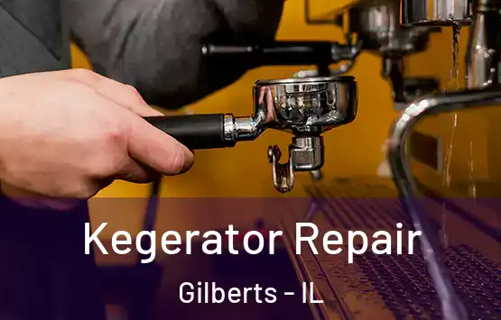  Kegerator Repair Gilberts - IL