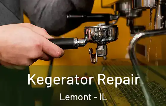  Kegerator Repair Lemont - IL