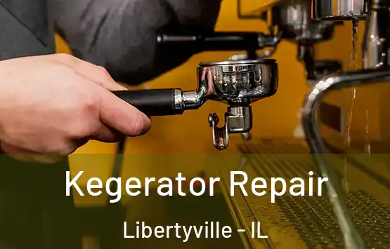  Kegerator Repair Libertyville - IL