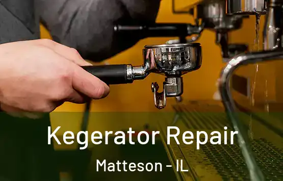  Kegerator Repair Matteson - IL
