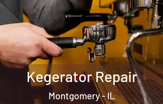 Kegerator Repair Montgomery - IL