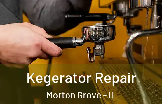  Kegerator Repair Morton Grove - IL