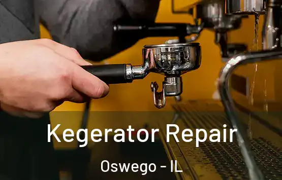  Kegerator Repair Oswego - IL