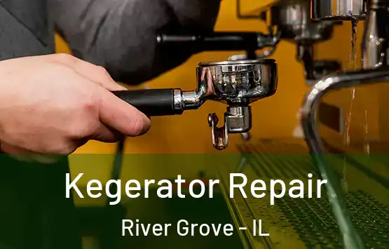  Kegerator Repair River Grove - IL