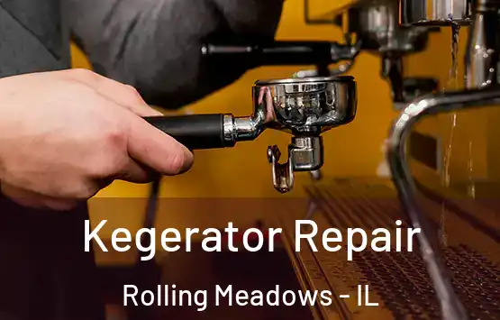  Kegerator Repair Rolling Meadows - IL