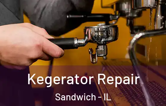  Kegerator Repair Sandwich - IL