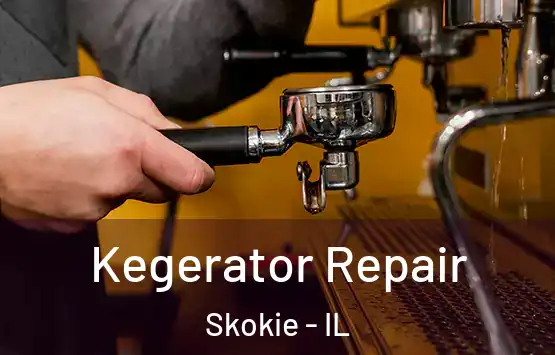  Kegerator Repair Skokie - IL