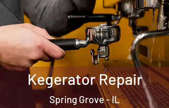 Kegerator Repair Spring Grove - IL