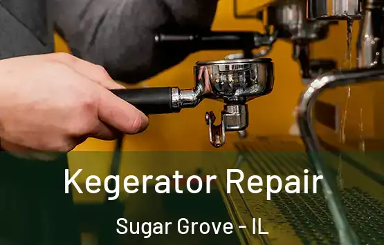  Kegerator Repair Sugar Grove - IL