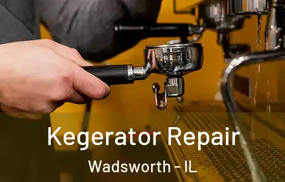  Kegerator Repair Wadsworth - IL