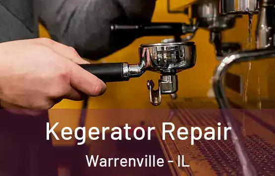  Kegerator Repair Warrenville - IL