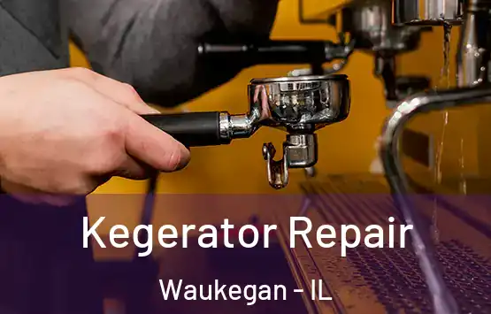  Kegerator Repair Waukegan - IL