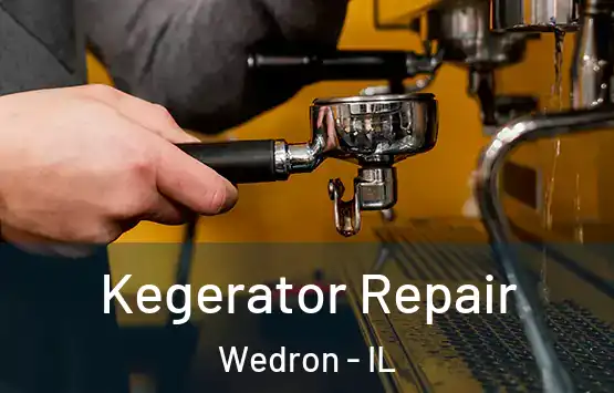  Kegerator Repair Wedron - IL
