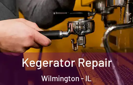  Kegerator Repair Wilmington - IL