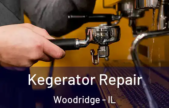  Kegerator Repair Woodridge - IL