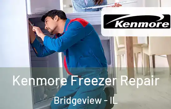  Kenmore Freezer Repair Bridgeview - IL