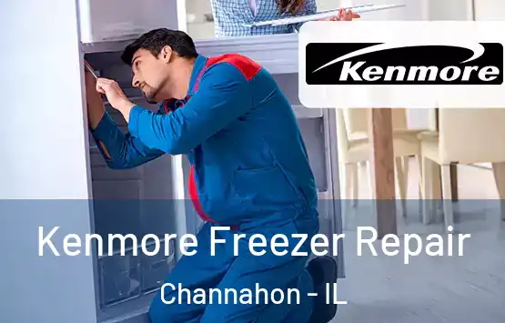 Kenmore Freezer Repair Channahon - IL