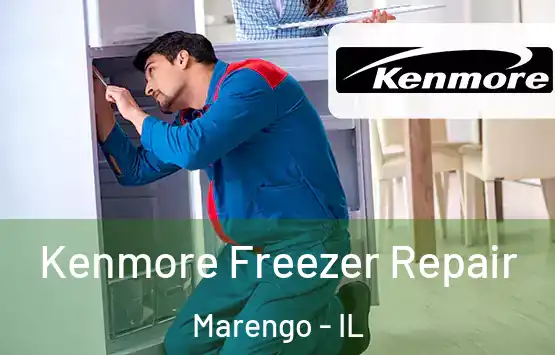  Kenmore Freezer Repair Marengo - IL