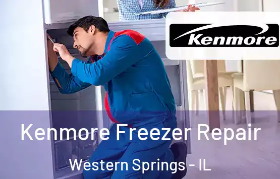  Kenmore Freezer Repair Western Springs - IL