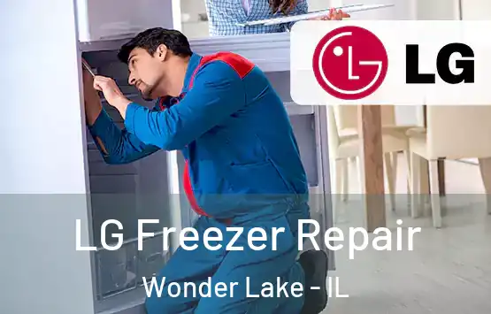  LG Freezer Repair Wonder Lake - IL