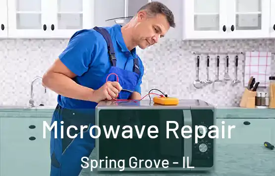  Microwave Repair Spring Grove - IL