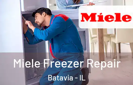  Miele Freezer Repair Batavia - IL