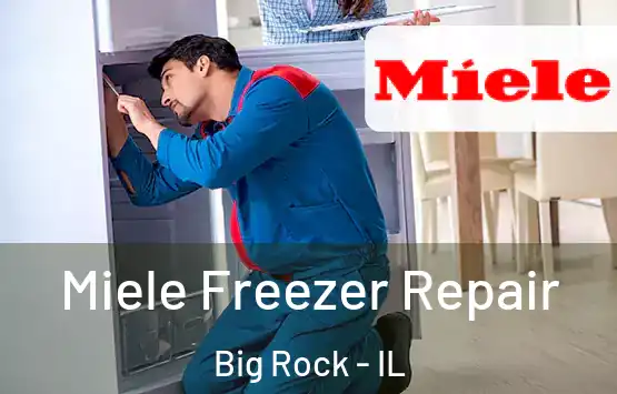  Miele Freezer Repair Big Rock - IL