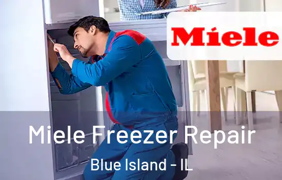  Miele Freezer Repair Blue Island - IL