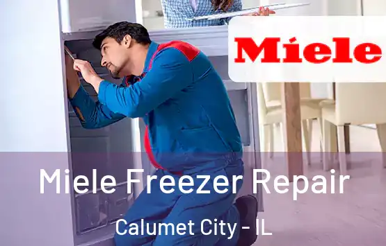  Miele Freezer Repair Calumet City - IL