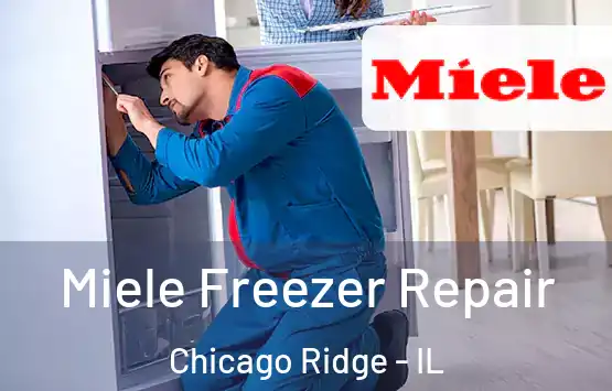  Miele Freezer Repair Chicago Ridge - IL