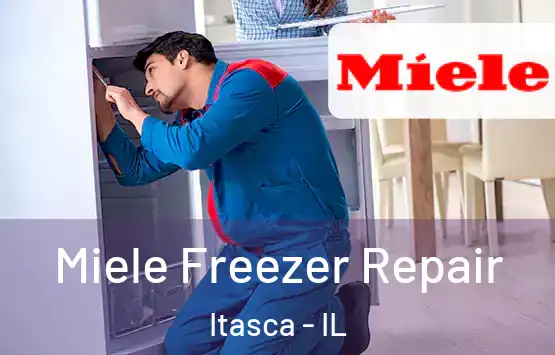  Miele Freezer Repair Itasca - IL