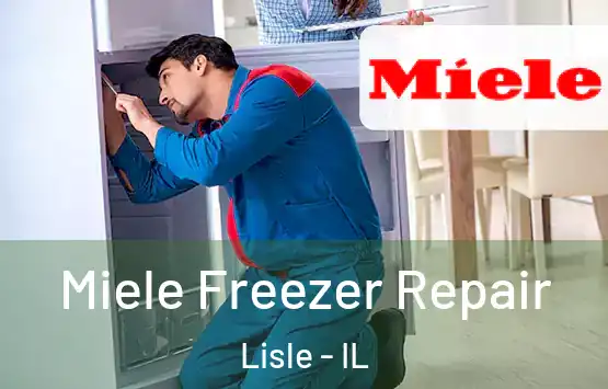 Miele Freezer Repair Lisle - IL
