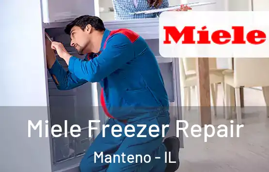  Miele Freezer Repair Manteno - IL