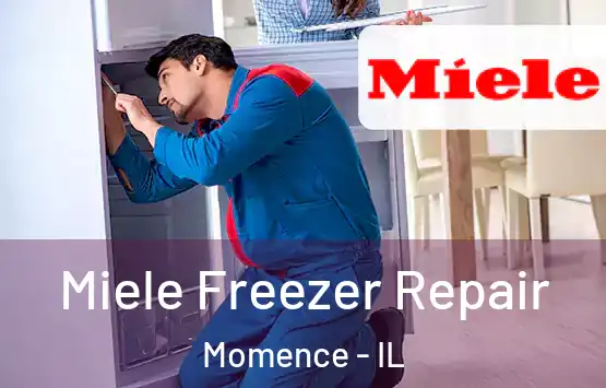  Miele Freezer Repair Momence - IL