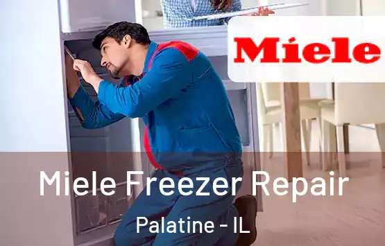  Miele Freezer Repair Palatine - IL