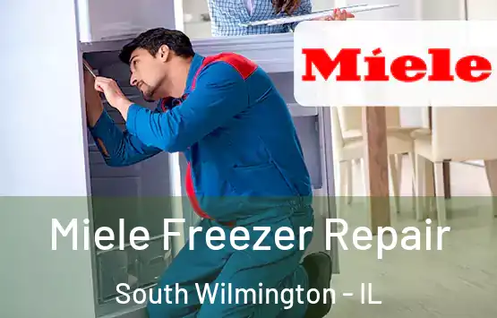  Miele Freezer Repair South Wilmington - IL