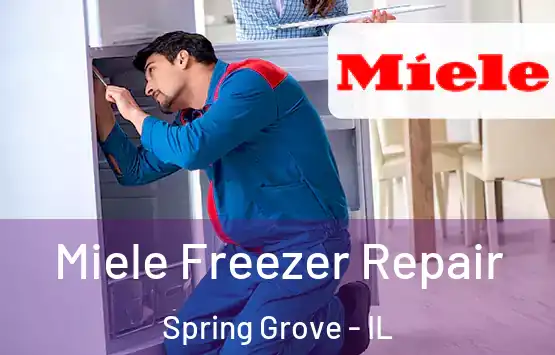  Miele Freezer Repair Spring Grove - IL