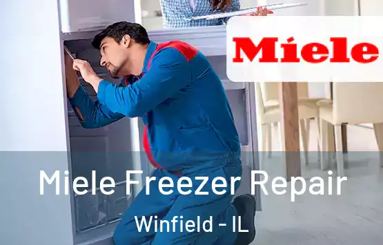  Miele Freezer Repair Winfield - IL