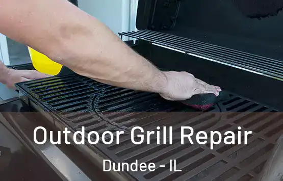  Outdoor Grill Repair Dundee - IL