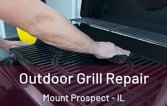  Outdoor Grill Repair Mount Prospect - IL
