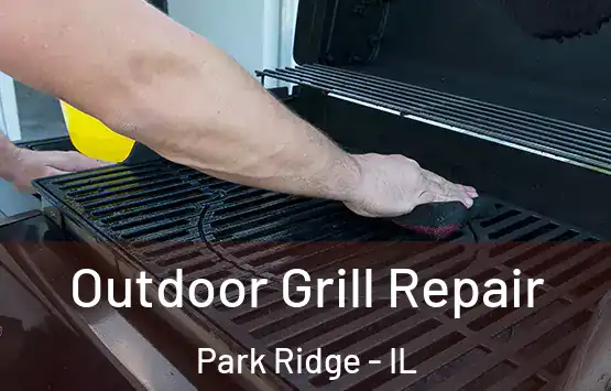  Outdoor Grill Repair Park Ridge - IL
