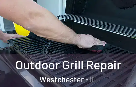  Outdoor Grill Repair Westchester - IL
