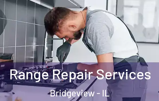  Range Repair Services Bridgeview - IL