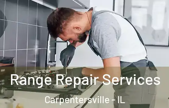  Range Repair Services Carpentersville - IL