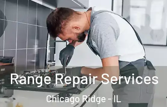  Range Repair Services Chicago Ridge - IL